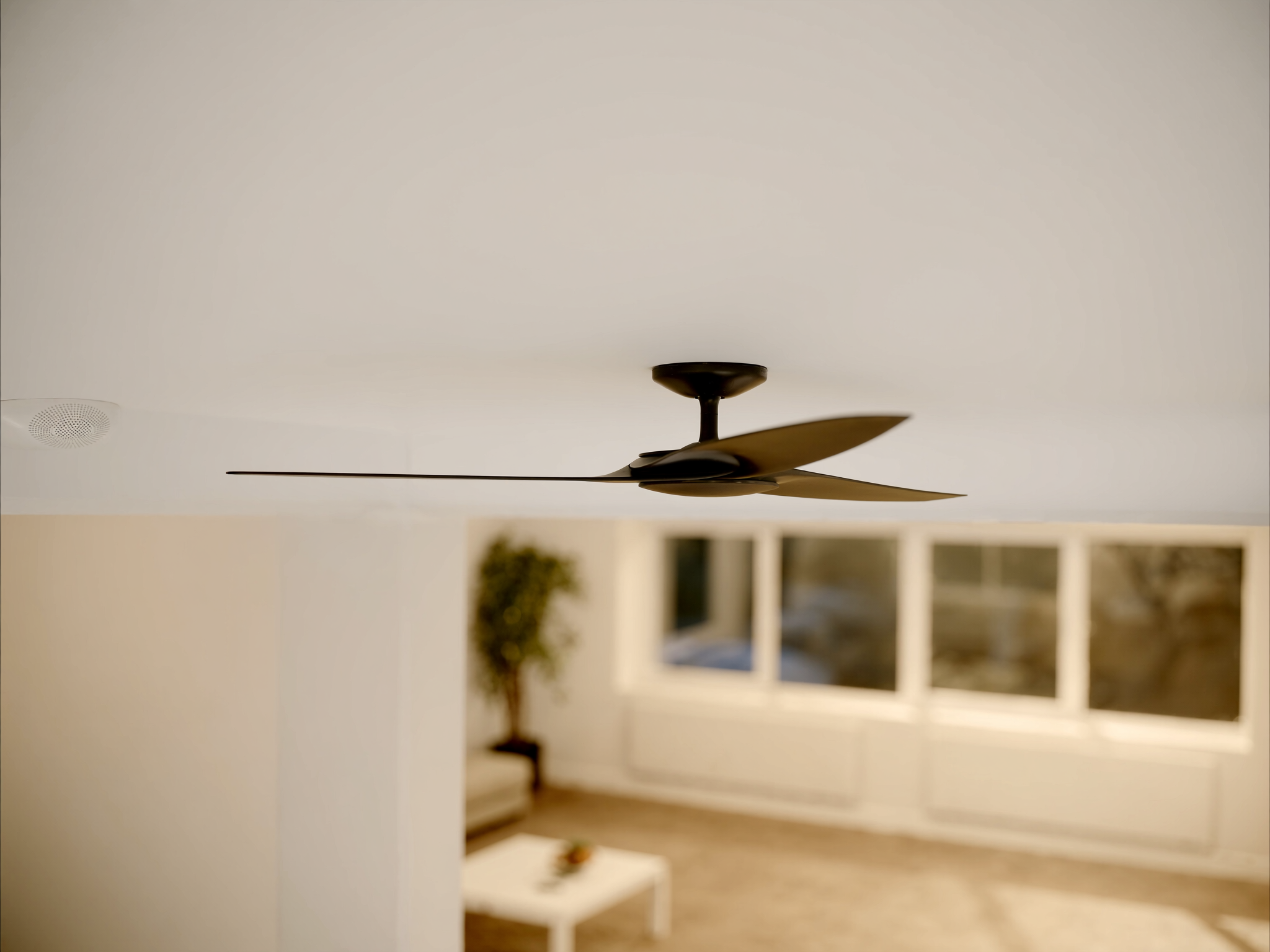 Ceiling fans — Beat three other quotes on a fan swap